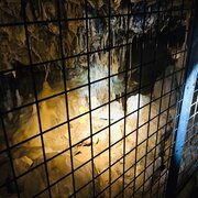 Dans les grottes